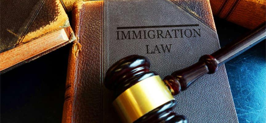 Immigration Attorney